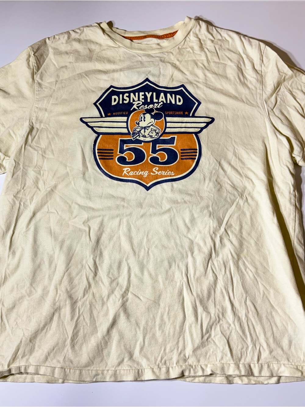 Disney Disneyland Resort Graphic Tee - White with Navy Accents